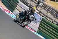 Black Bikes